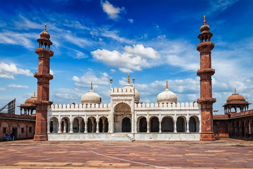 Moti Masjid Pearl Mosque, Bhopal, India