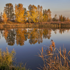 Autumn Landscape. Park in Autumn. The bright colors of autumn in