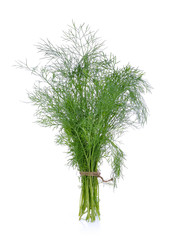 Dill on white background