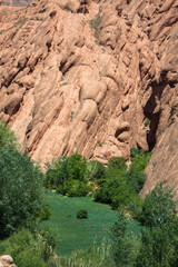 Red rock limestone fingers in Dades Gorgem Morocco, Africa