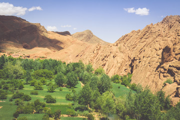 Red rock limestone fingers in Dades Gorgem Morocco, Africa