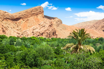 Red rock limestone fingers in Dades Gorgem Morocco, Africa