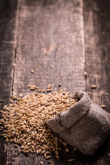 barley and hops on wooden table , beer