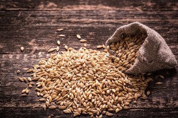 barley and hops on wooden table , beer