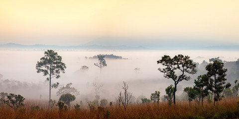 Panorama misty morning sunrise at Thung Salang Luang National Pa