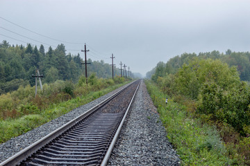 Fototapeta na wymiar railway in forest area