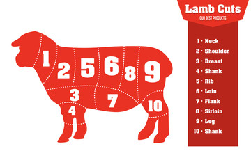 Lamb cuts infographic set of meat parts, vector