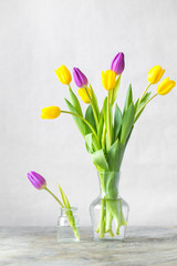 bunch of tulips. spring concept