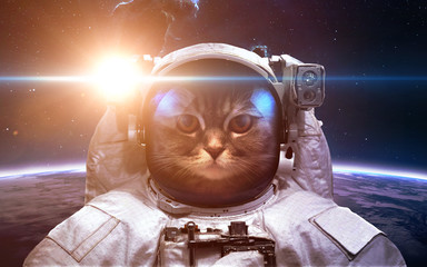 Brave cat astronaut at the spacewalk. This image elements furnished by NASA