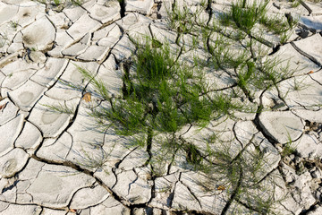 Ausgetrockneter Fluss