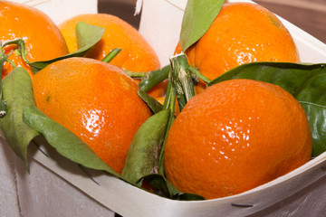 Mandarinen mit Blatt und Stiel 