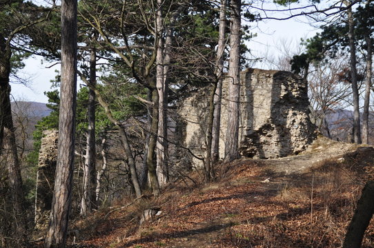 Perchtoldsdorf Ruine Kammerstein