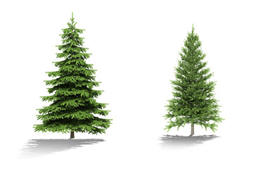 3d tree render on white background