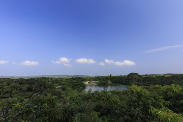 石垣島バンナ公園　その４