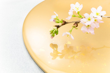 桜　小枝　背景　金色