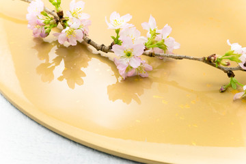 桜　小枝　背景　金色