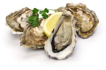 Foto op Plexiglas verse oesters geïsoleerd op witte achtergrond © uckyo
