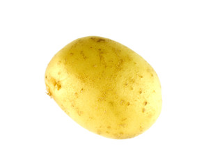 Yellow potato isolated on white
