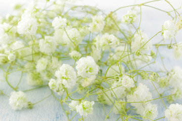 Gypsophila (Baby's-breath flowers), light, airy masses of small white flowers, on wooden background.