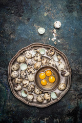 Quail eggs in metal plate on rustic background, top view