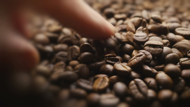 Hands holding roasted coffee grains. 4K 3840x2160 UHD video.
