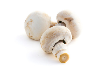 Champignons