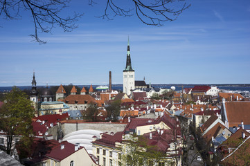 Panorama of old town Tallinn - obrazy, fototapety, plakaty