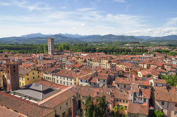 Scenic view of the ancient city of Lucca, from Guinigi Tower