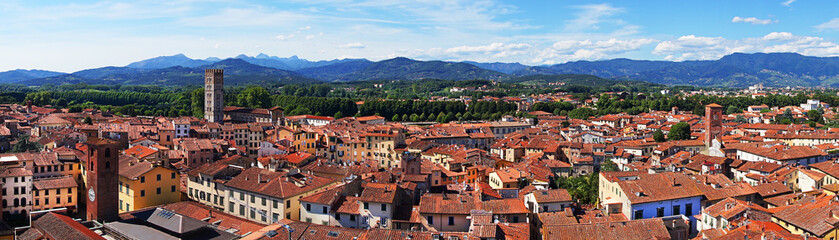Panoramic view of the ancient city of Lucca, from Guinigi Tower - obrazy, fototapety, plakaty