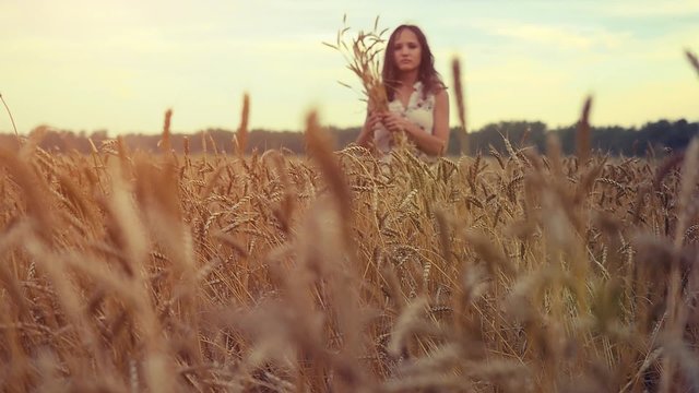 Young beautiful woman walking in a wheat field. Hand of a young girl touching corn ears in a field at sunset in slowmotion. hd, 1920x1080