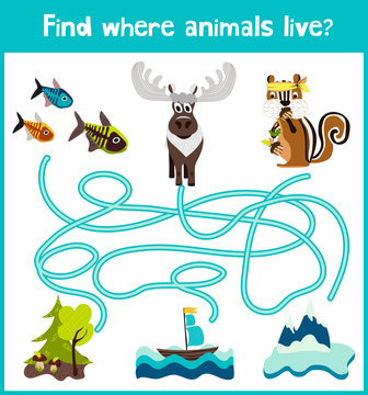 Fun and colorful puzzle game for children's development find where a deer, striped Chipmunk and fish. Training mazes for preschool education. Vector