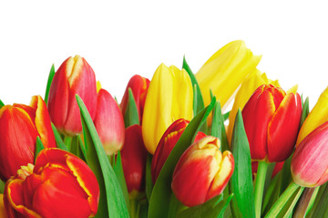 Bouquet of tulips