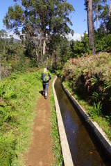 Wanderung an der Levada de Calheta von Prazeres nach Raposeira