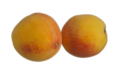 Two peaches isolated on white