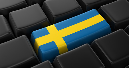 Key with Swedish Flag