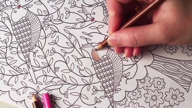 Coloring for adults and children. For stress relief. Girl holding a pencil and paints the bird.