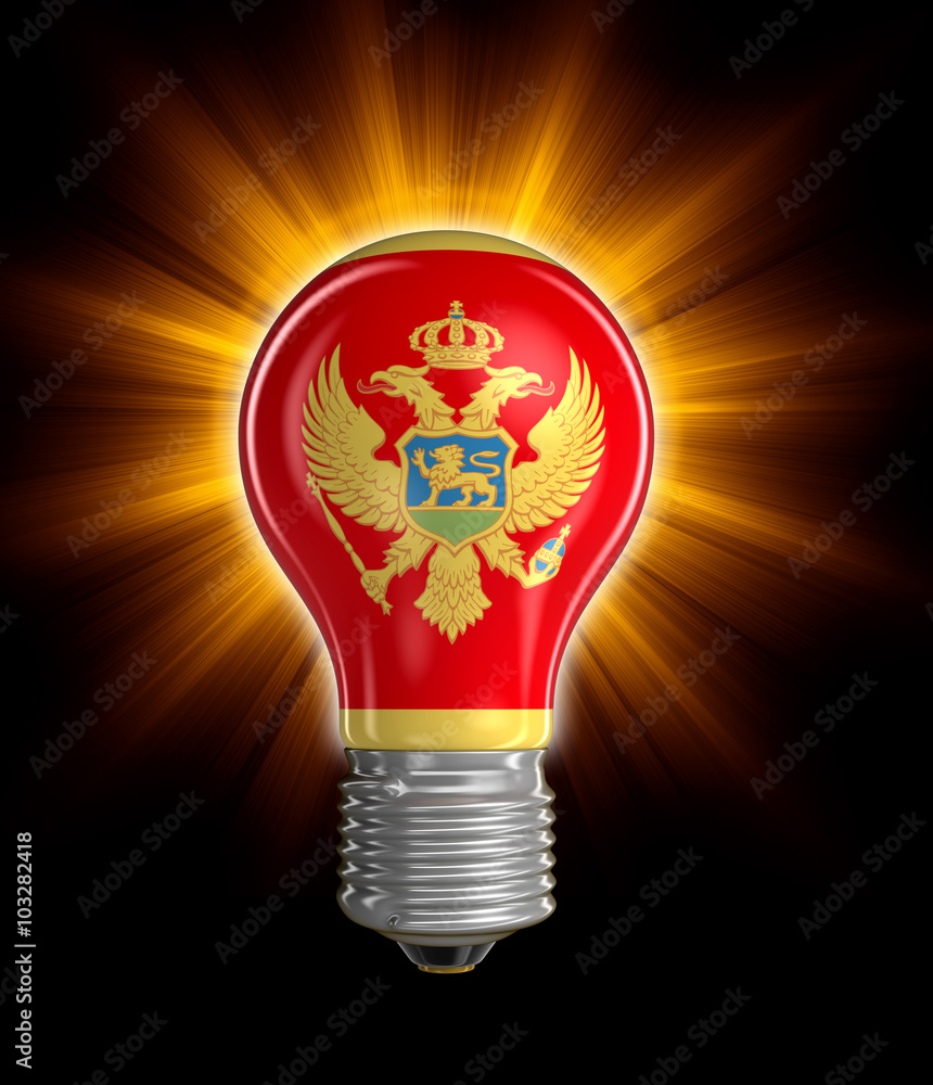Poster light bulb with montenegrin flag. image with clipping path
