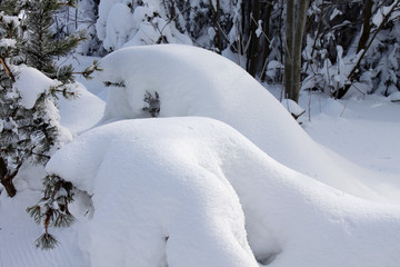 winter nature snow landscape tree sky