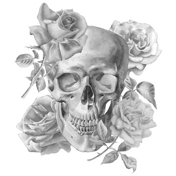 Monochrome illustration with skull and roses