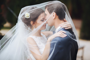 wedding couple. Beautiful bride and groom. Just married. Close u