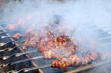 Shish kebab in smoke