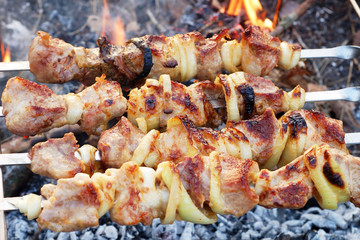 Shish kebab on skewer