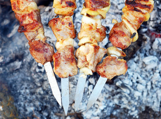 Shish kebab on skewer