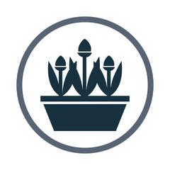 Flowers in the pot icon