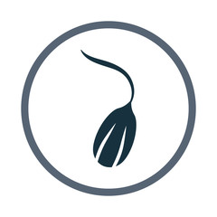 Germinated seed icon