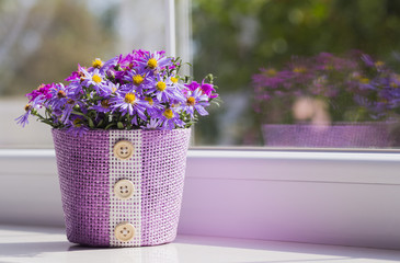 Bunch of small purple chrysanthemums in lilac basket near window