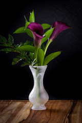 purple calla lily over black