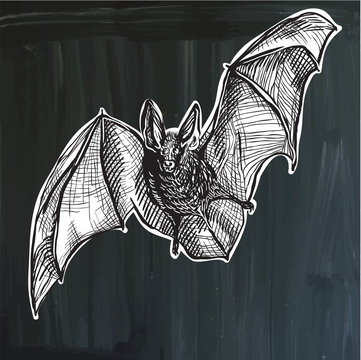 bat - freehand sketching, vector