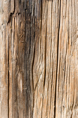 Old Wood Background