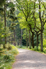 Der Weg in den Frühling